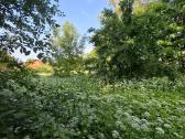 Parduodamas sklypas mieste - nuotraukos Nr. 3