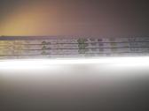 T8 LED lempos - nuotraukos Nr. 6