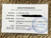Lygiavamzdis šautuvas - nuotraukos Nr. 3