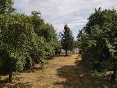 Parduodamas sklypas su sodo nameliu - nuotraukos Nr. 2