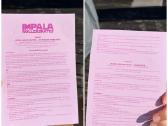 Impala Rollerskates, Keturračiai riedučiai - nuotraukos Nr. 5