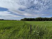 Parduodama Sodyba Su 10,6756 Ha Žemės Plungės Raj - nuotraukos Nr. 13