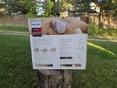 Philips Lumea Ipl Hair Removal 9000 - nuotraukos Nr. 3