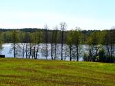 Atoki sodyba Papalazdijų I kaime, 4 km nuo Lazdijų - nuotraukos Nr. 5