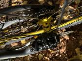 Norco range C7.3 - nuotraukos Nr. 14