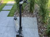 Segway Ninebot G30 - nuotraukos Nr. 2