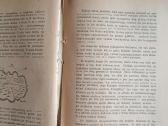 J.swift Guliverio kelionės 1947m. - nuotraukos Nr. 6