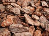Dekoratyvinis pušų mulčas 3,99eur. su pristatymu! - nuotraukos Nr. 31