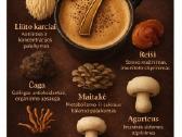 Kava ir Arbata su 7gydomais grybais puikiai padeda - nuotraukos Nr. 5