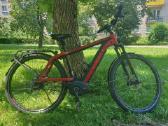 Riese muller 35km/h