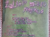 Various – Žalgirio Mūšio Projektas / Vinyl Lp on G - nuotraukos Nr. 2