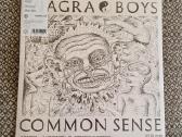Viagra Boys - Common Sense / Vinyl Lp limited on P - nuotraukos Nr. 2