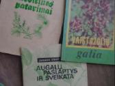 Knygos sodas darzas geles - nuotraukos Nr. 6