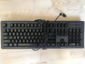 Steelseries Apex 150 - nuotraukos Nr. 2