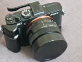 Sony Rx1 35mm f2,0 Pilno kadro - nuotraukos Nr. 18