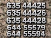 Gražūs numeriai - nuotraukos Nr. 11