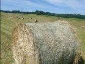 Parduodu šieno rulonus - nuotraukos Nr. 2