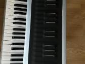 Roli Seaboard 2 - nuotraukos Nr. 2