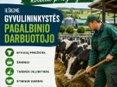 Gyvulininkystės darbininkas (-ė)