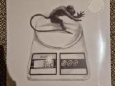 Voice Actor – Fake Sleep / Vinyl Lp