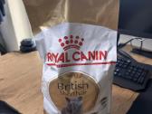 Royal Canin kačių maistas