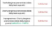 Pramoninis dailylenčių dažymas su 7 metų garantija - nuotraukos Nr. 10