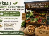 Ieškau Daržovių Kiosko, Pavilijono verslo