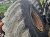 Mtz ratai