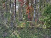 Parduodamas sodo namas Priekulės sen., s/b „Dituva - nuotraukos Nr. 5