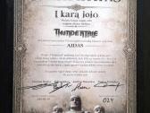 Kolekcinė Thundertale plokštelė "Į karą jojo" 2026 - nuotraukos Nr. 6