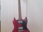 Elektrinė gitara ir kubas ( + priedai )