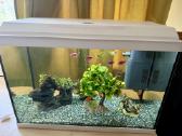 _Juwel 70l akvariumas su visais priedais