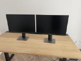 Monitorius Dell P2421