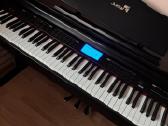 Parduodamas Dp20 skaitmeninis pianinas - nuotraukos Nr. 8