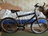 Dviratis Trek 3100