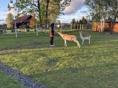 Zoo. Pramogos šeimai. - nuotraukos Nr. 15