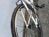 Trek - nuotraukos Nr. 3