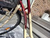 Panther Sophy dviratis - nuotraukos Nr. 6