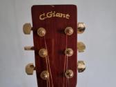 Gitara G.giant - nuotraukos Nr. 7