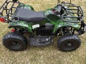 Elektrinis keturratis motociklas Hunter Super 500w