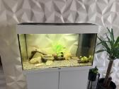 Juwel akvariumas 125 l
