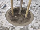 Trinkelių klojimas, bortų statymas - nuotraukos Nr. 15