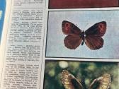 Kolekcinė žurnalų Mūsų gamta kolekcija - nuotraukos Nr. 5