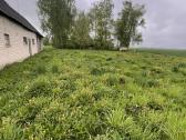 Parduodamas gyvenamasis namas Šakių r., Veršių k. - nuotraukos Nr. 8