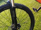 Cannondale (L) - nuotraukos Nr. 16