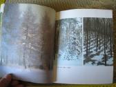 Knyga su daug foto . .zr. foto. - nuotraukos Nr. 6