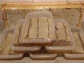 Medus, pikis (propolis), bičių duonelė, vaškas - nuotraukos Nr. 4