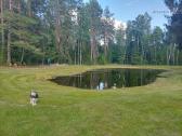 Perspektyvi sodyba Grūte, Druskininkai - nuotraukos Nr. 30