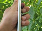 Samsung s21 128gb like new - nuotraukos Nr. 5