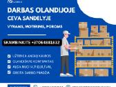 Darbai Olandijoje Logistikos Sandeliuose - nuotraukos Nr. 4